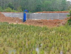 Masyarakat Tanjung Sari, Terimakasih Atas Terealisasi nya Pembangunan Jaringan Irigasi Sawah Kami