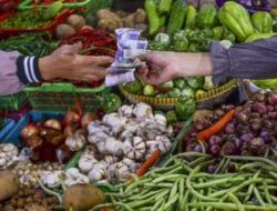 Harga Cabe Merah Selangit Ibu Rumah Tangga Menjerit