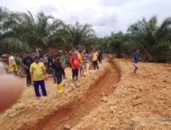 Berawal Jalan di Parit Gajah KTSMB Gultom, Mencuat Tak Kantongi Izin Lengkap 