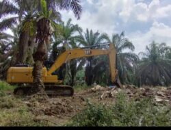 Diduga PTPN VI Bukit Kausar Kangkangi UU dan Peraturan Yang Telah di Terapkan Tentang HGU