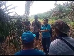 Ketua DPW Puspa RI Minta Pj Bupati Tebo H. Aspan Stop Segala Aktifitas Sawit Madu Bengkal SMB