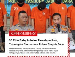 Lagi-lagi Polres Tanjab Barat Berhasil Amankan Enam Tersangka Penyelundupan 50.000 Beby Lobster Jeniis Mutiara