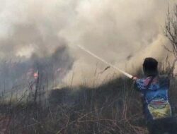 Karhutla Makin Menggila, Dalam Sehari 20 Titik Lahan Terbakar Luasan 27,12 Hektar