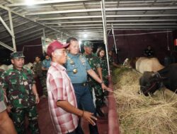 Yakinkan Kelancaran Gerakan Nasional Ketahanan Pangan, Panglima TNI Cek Langsung ke Lapangan