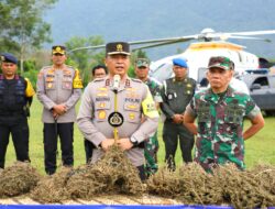 Dari Medan Naik Heli, Pangdam I/BB dan Kapoldasu Berhasil Musnahkan Ladang Ganja 150 Haktar 