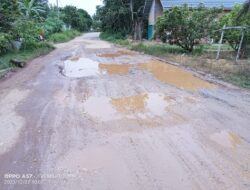Sungguh Miris Jalan Antar Desa di Desa Pulau Betung Bak Kubangan Kerbau