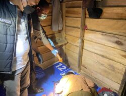 Warga Tebo Ilir digegerkan Penemuan Mayat Laki-laki Didalam Pondok Kebun Milik  Rahman