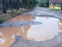 Dilalui Truk Pengangkut Pasir Dan Sawit Jalan Desa Pulau Betung Bak Genangan Kerbau