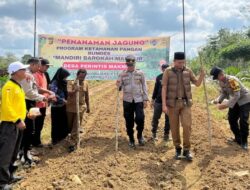 Program Ketahanan Pangan BumDes Mandiri Barokah Perintis Makmur Adakan Tanam Jagung Serentak 