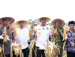 “Panen Raya Jagung Serentak Kuartal II Tahun 2025, Bupati Tebo: Kita Harus Tingkatkan Produksi Jagung”
