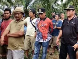 Konflik Lahan di Lubuk Mandarsah Berakhir Sementara: PT WKS Tarik Alat Berat