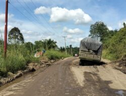 Ruas Simpang Niam–Lubuk Kambing Tinggal 3 KM, Pengguna Jalan Tagih Komitmen Gubernur