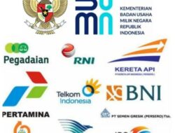 Pencabutan Larangan Direktur BUMN, Apakah solusi?
