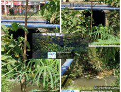 Pemerhati Lingkungan dan Sosial, Laporkan Warga Bangun Kios diatas Sempadan Sungai di Desa Perintis Jaya ke DLHK Tebo