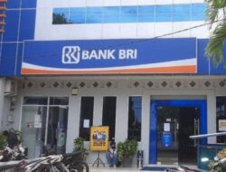 BRI Unit Rimbo Bujang Masih Minta Agunan KUR Dibawah Rp 100 Juta, Tabrak Peraturan Pemerintah