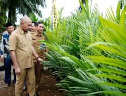 Bupati Tebo Luncurkan “Pro Best Tebo Maju” – Program Bibit Kelapa Sawit Bersubsidi untuk Petani