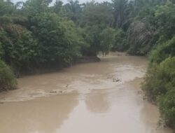 Sungai Alai di Kabupaten Tebo Keruh Bercampur Lumpur, Diduga Aktivitas Ilegal
