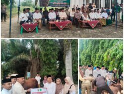 Bupati Tebo Serahkan Hewan Qurban Bantuan Presiden Prabowo di Masjid Al-Huda Rimbo Bujang