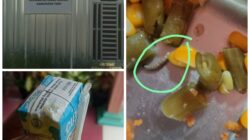 Dapur MBG Jalan 28 Desa Perintis Jaya Rimbo Bujang, Diduga Sediakan Makanan Busuk dan Berulat 