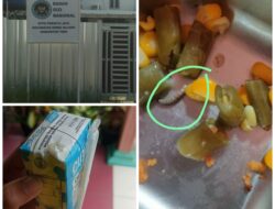 Dapur MBG Jalan 28 Desa Perintis Jaya Rimbo Bujang, Diduga Sediakan Makanan Busuk dan Berulat 
