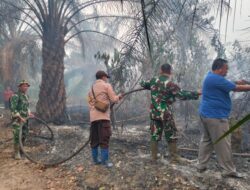 Gercep! Camat Tebo Ilir Yanto, S.Pd., M.M Pimpin Pemadaman Karhutla 3 Hektar di Perbatasan PT MAKIN