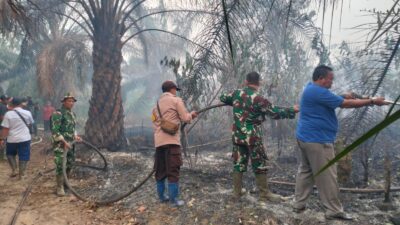 Gercep! Camat Tebo Ilir Yanto, S.Pd., M.M Pimpin Pemadaman Karhutla 3 Hektar di Perbatasan PT MAKIN